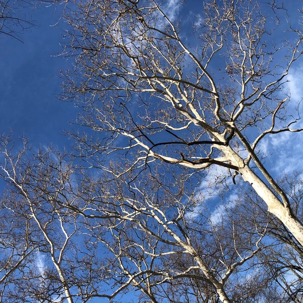 Emerald Necklace Marina Lakewood, OH