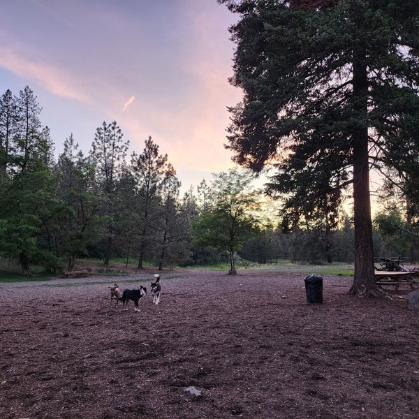 Spokanimal Dog Park Spokane, WA