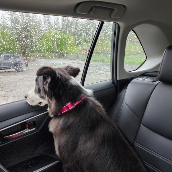 Spokanimal Dog Park Spokane, WA