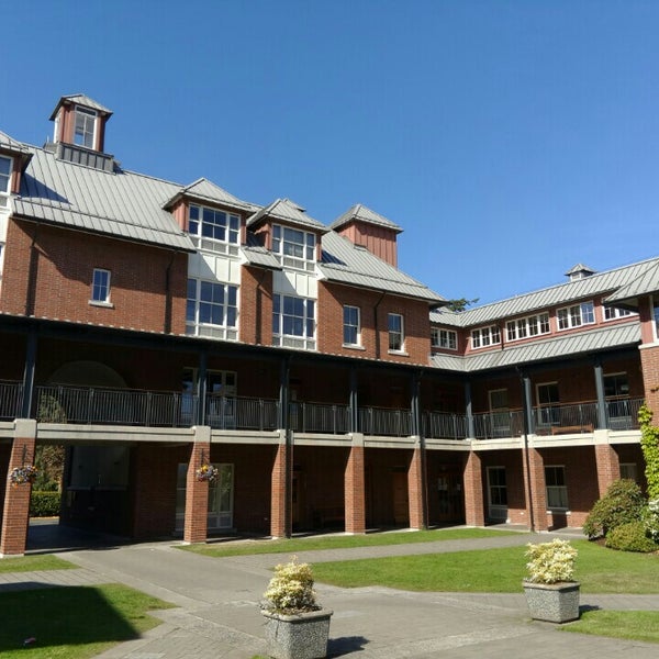 Michael school. Michael school