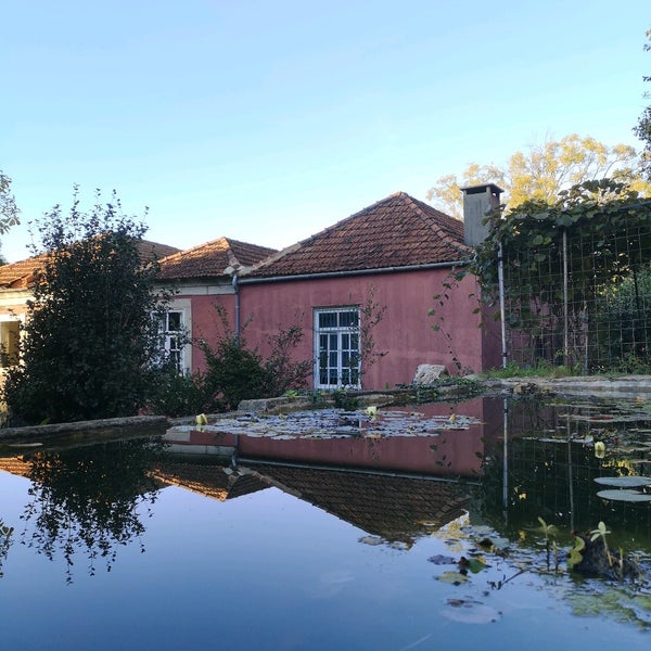 Parque da Quinta do Conde das Devesas 4 tips