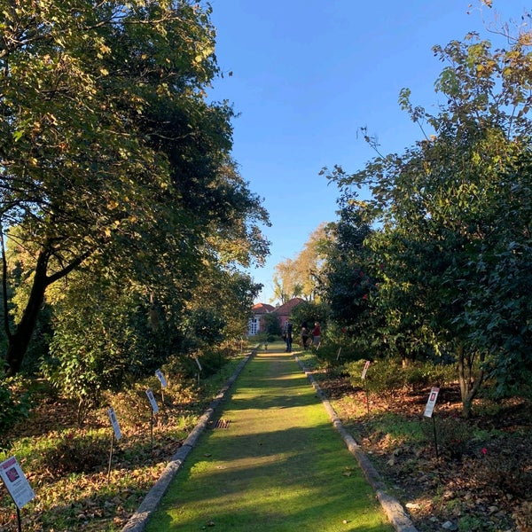 Parque da Quinta do Conde das Devesas 4 tips