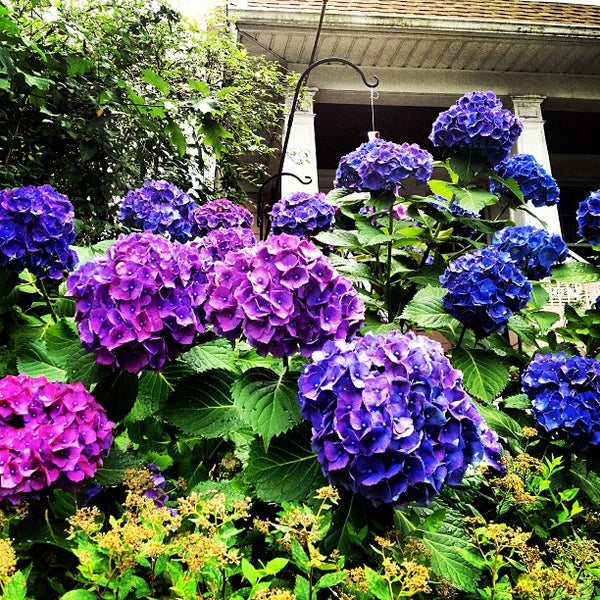 Westerleigh 3 tips from 382 visitors