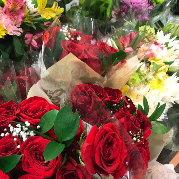 Red Roses Publix