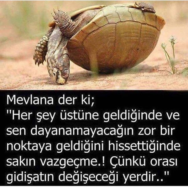 izmir guney hastaneleri genel sekreterligi artik kapali izmir izmir