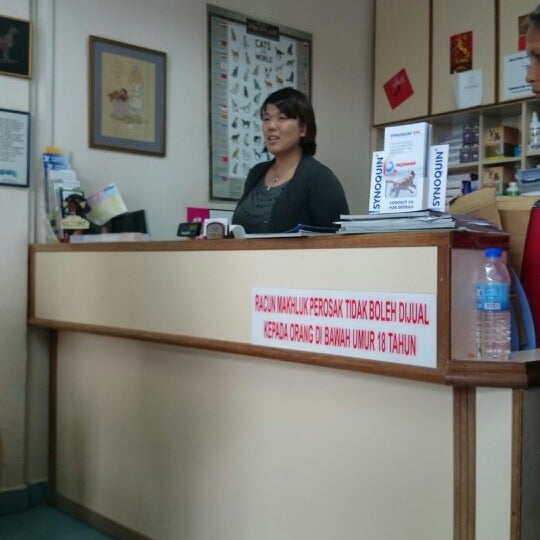 koh animal clinic & surgery