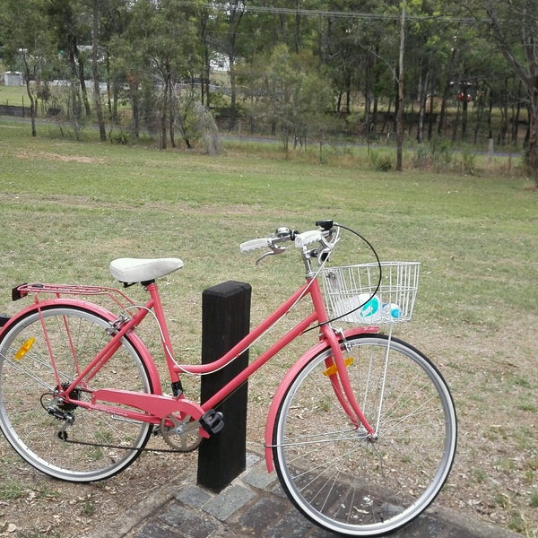 Kmart holland vintage cruiser cheap review