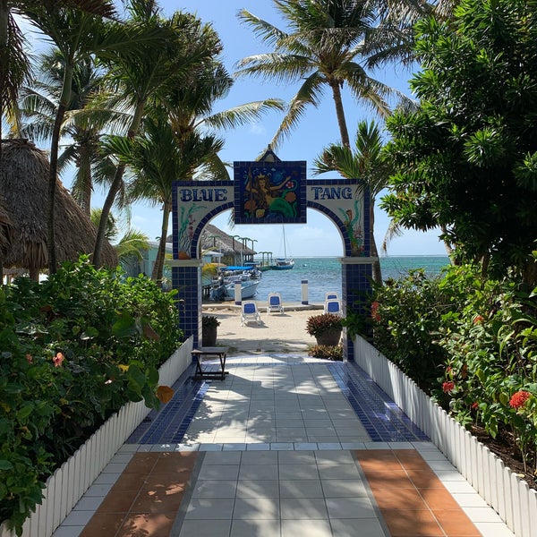 Blue Tang Inn - Ambergris Caye - 4 tips