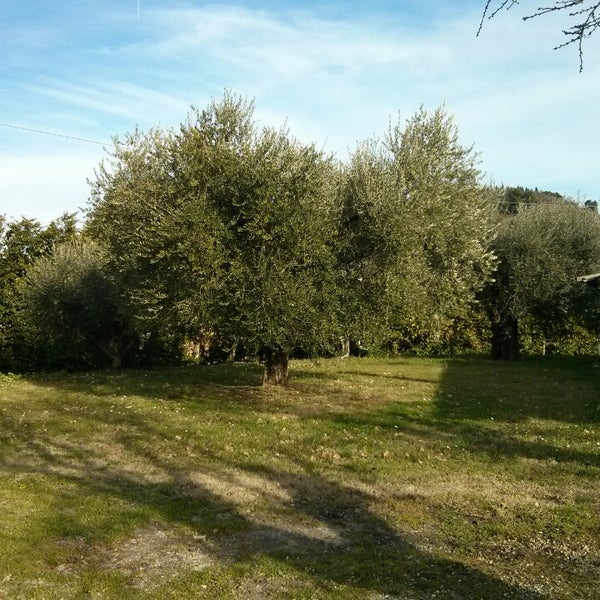 Photo taken at Agriturismo Il Paradiso by Serena S. on 1/2/2014