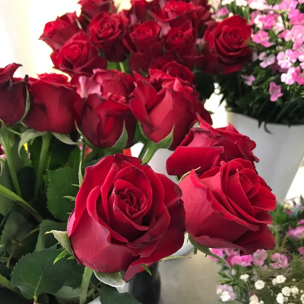 Max flower. Букет "утренний джаз". Карлье макс альберт художник. Букеты 3 d. Живопись натюрморт макс альберт карлье.