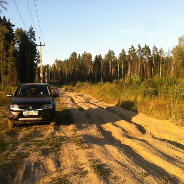 Богородское лесничество. Воря богородское лесничество. лесхоз богородского района. богородск лесничество. богородское лесничество нижегородской области.