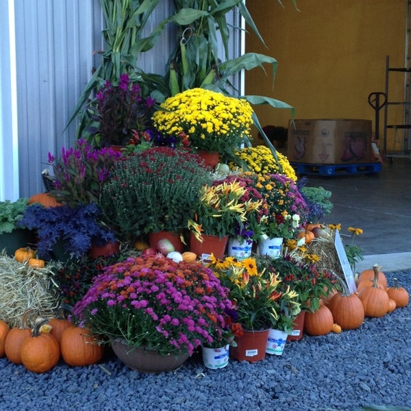 Louis Davino Greenhouses Farm in Millstone Township