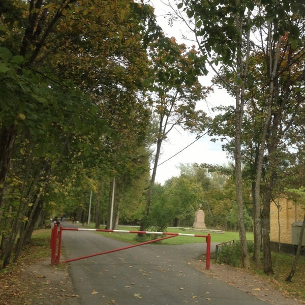 Кингисепп парк романовка