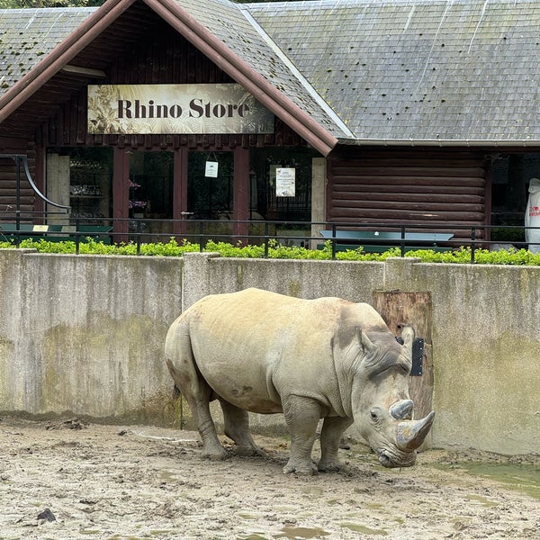 Снимок сделан в Zoo Antwerpen пользователем Julia C. 4/18/2024
