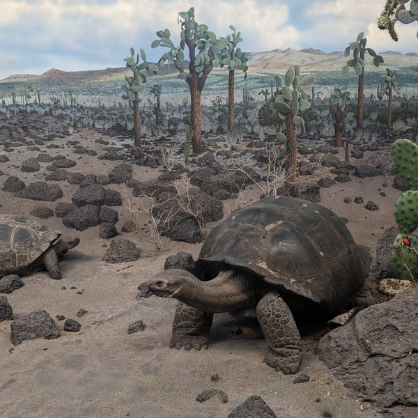 Das Foto wurde bei Denver Museum of Nature and Science von Bridget am 10/15/2023 aufgenommen