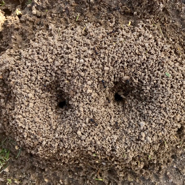 Gözde Et Galerisi Kasap