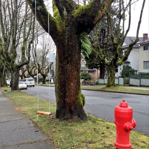 Please the trees. Please the trees