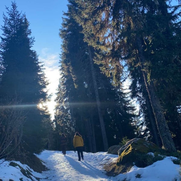 12/25/2022 tarihinde Hanoufziyaretçi tarafından Verbier'de çekilen fotoğraf