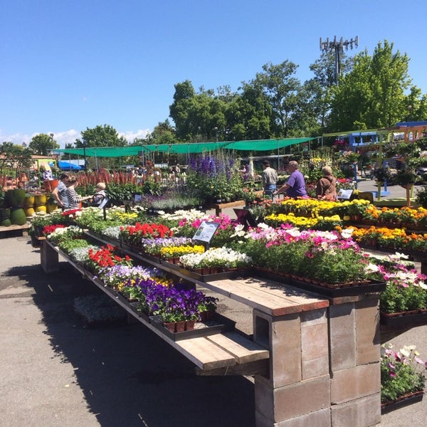 Summer Winds Nursery 6 tips from 236 visitors