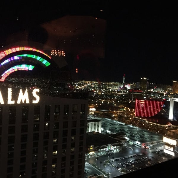 Great views from the top of the palms.