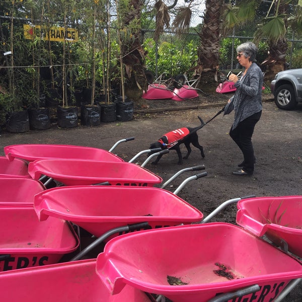 Roger S Garden Centre South Auckland Auckland Auckland