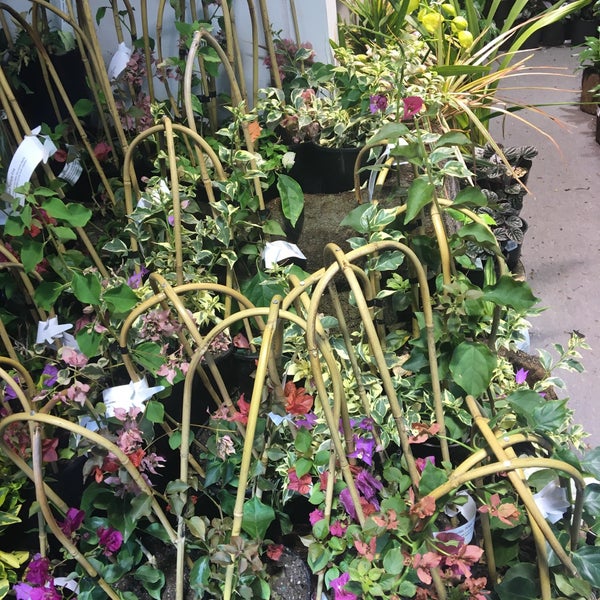 Roger's Garden Centre Auckland, Auckland