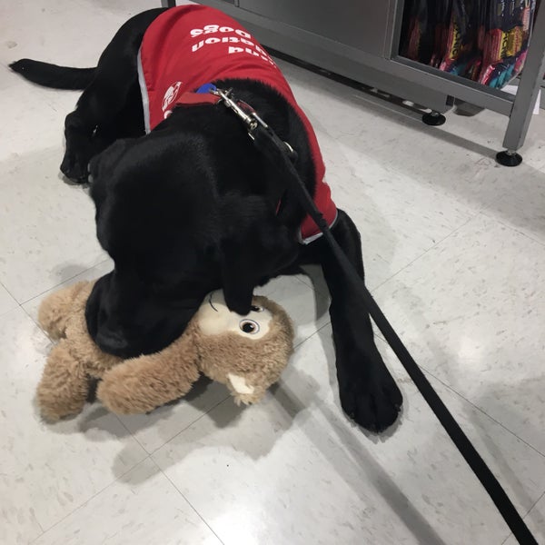 Photos at Kmart Department Store in Botany