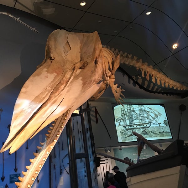 6/15/2017にJason C.がThe Whaling Museumで撮った写真
