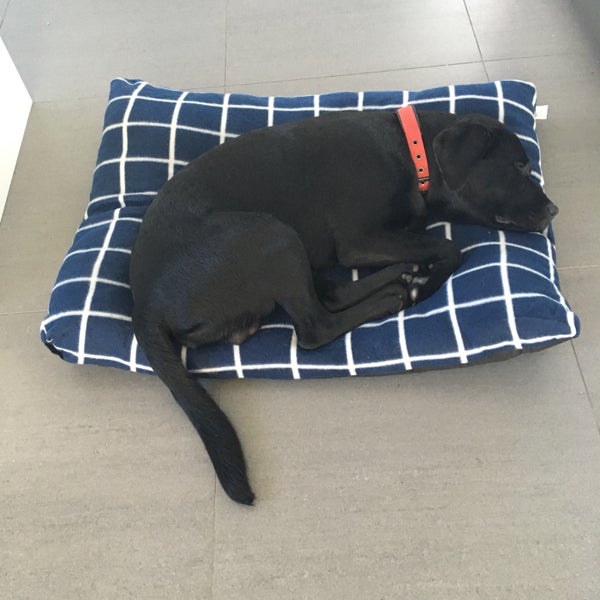 Photos at Kmart Department Store in Botany