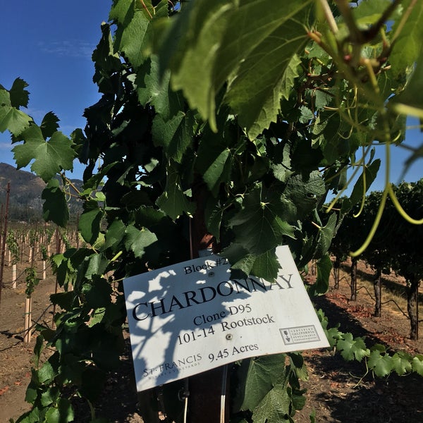 Foto tomada en St. Francis Winery &amp; Vineyards  por Lae W. el 8/10/2019