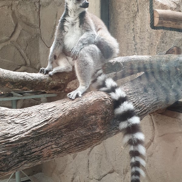 Photo taken at Zoo Melaka by Qishin T. on 9/29/2019