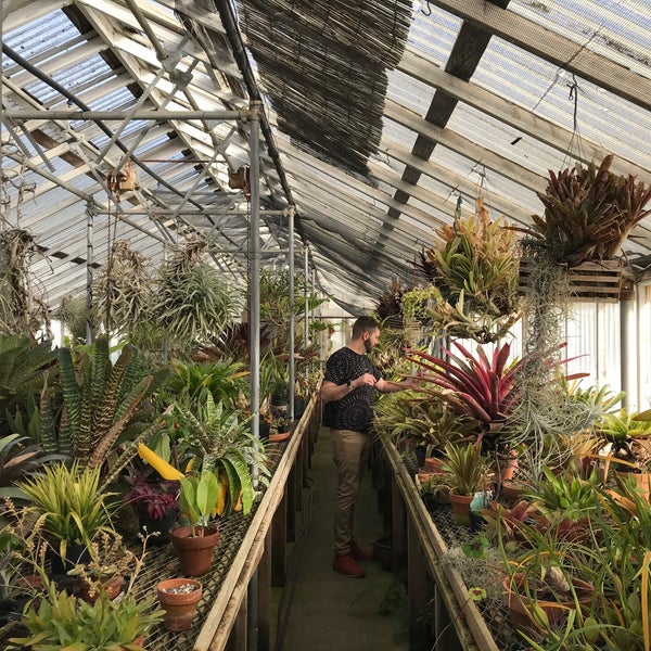 Shelldance Orchid Gardens 2 Tips From 250 Visitors