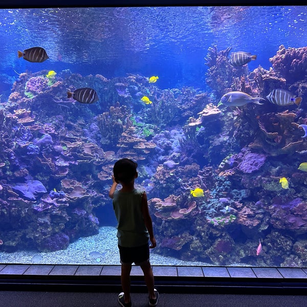 Photo taken at Maui Ocean Center, The Hawaiian Aquarium by alison b. on 5/9/2023