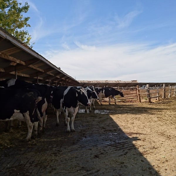 Photos at Reed's Dairy Inc. 2660 W Broadway St