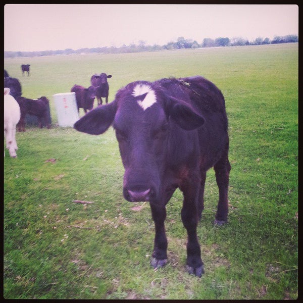 The Hamlins at Cedar Creek Lake Structure