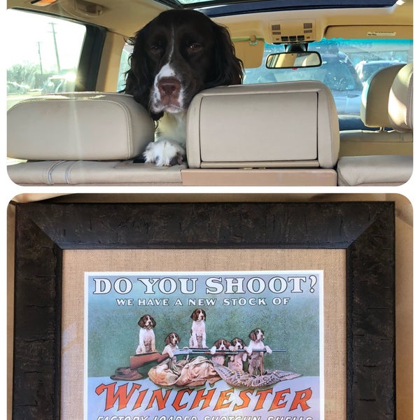 JOANN Fabrics and Crafts 生地屋