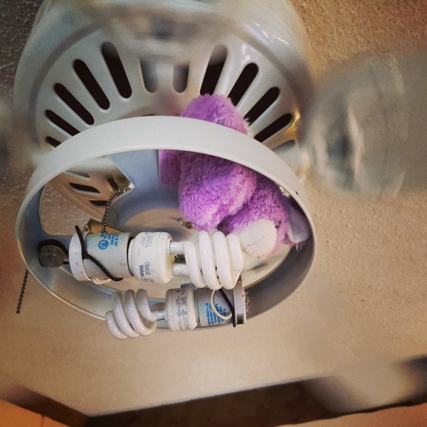 Lowes Foods Clemmons, NC