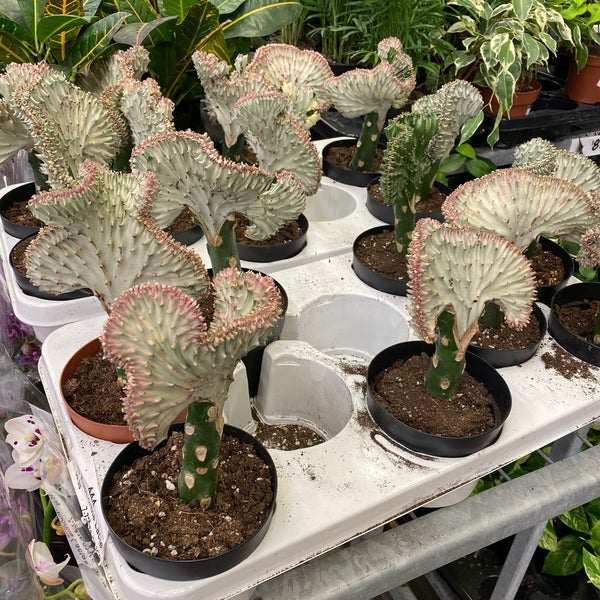 The Home Depot Clanton Park 90 Billy Way