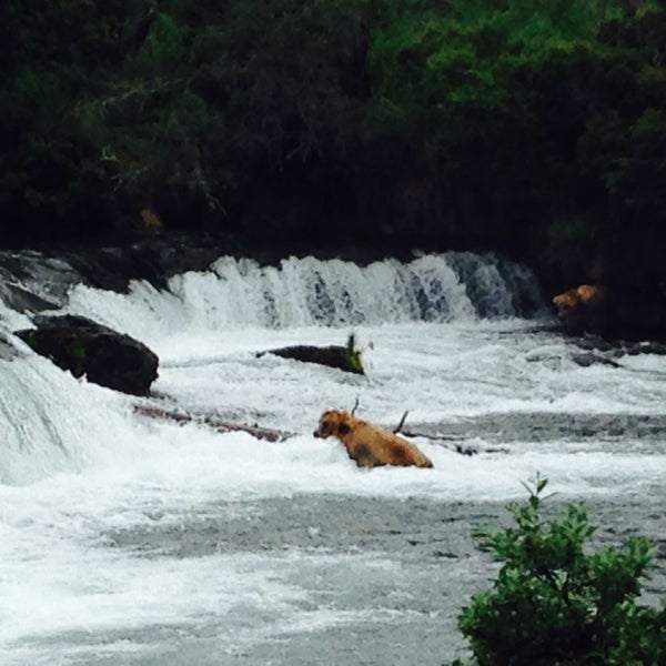 Katmai National Park & Preserve King Salmon 4 tips