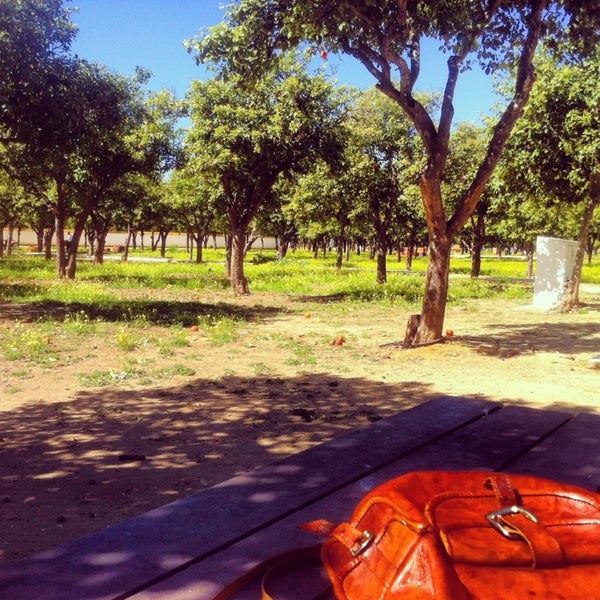 Parque V Centenario Utrera, Andalucía