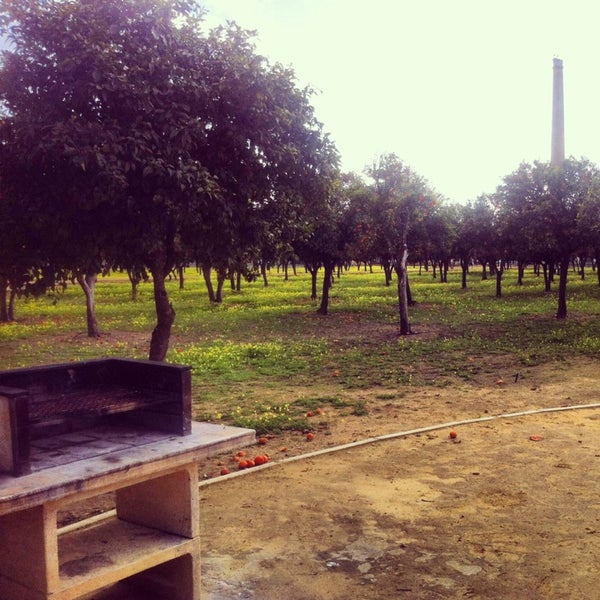 Quinto Centenario Utrera at Belle Ellard blog