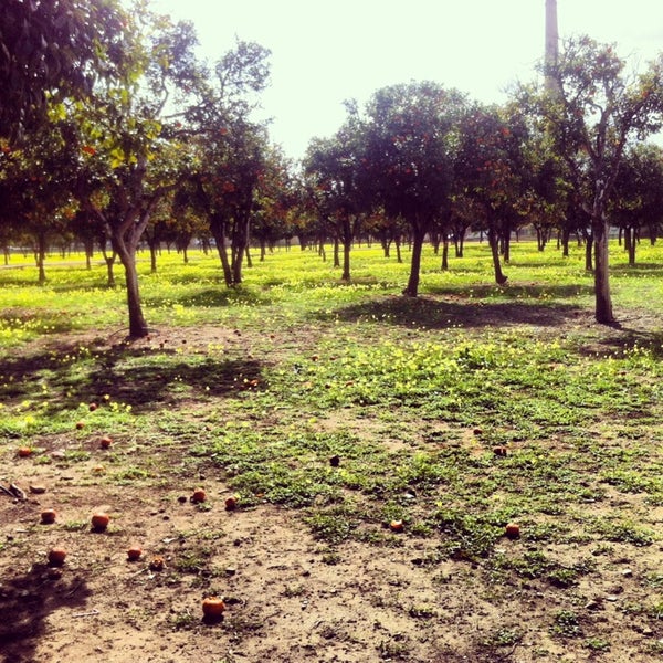 Parque V Centenario Utrera, Andalucía