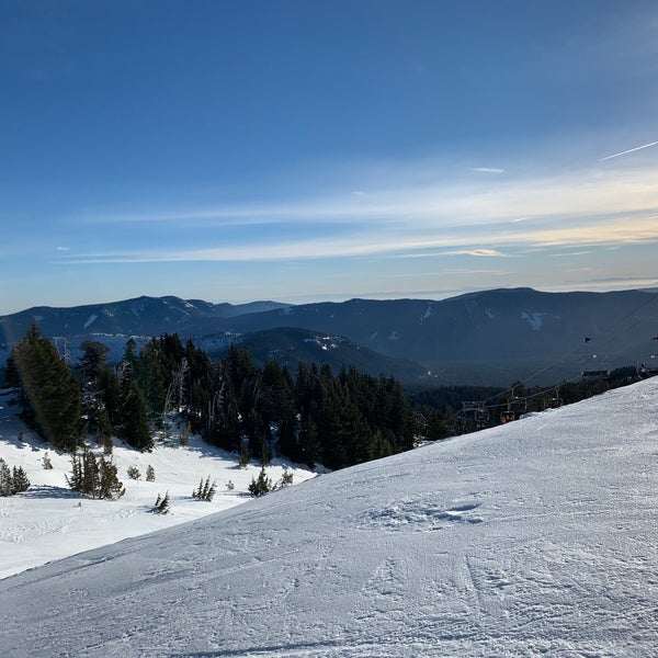 Снимок сделан в Mt. Hood Meadows Ski Resort пользователем Craig G. 12/23/2020