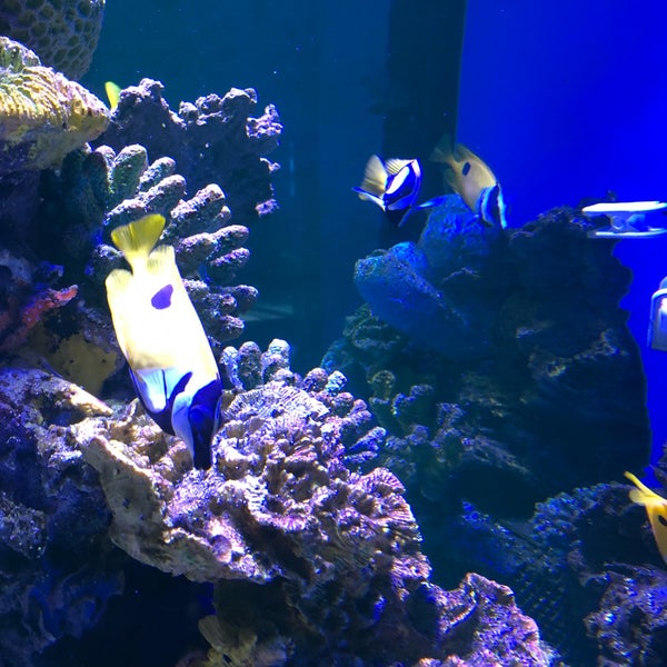 Photo taken at Aquarium Cancun by Eduardo N. on 1/14/2019