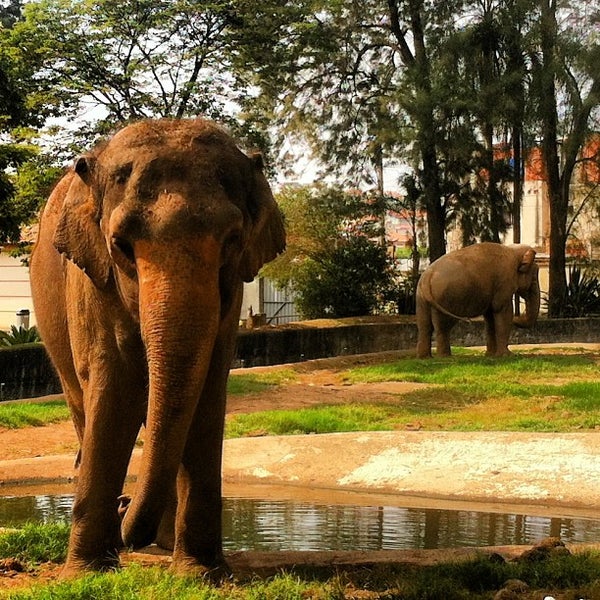Parque Zoológico Municipal Quinzinho de Barros Zoológico Parque Zoológico Municipal Quinzinho de Barros Zoológico