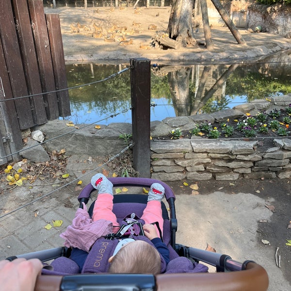 Photo prise au Jardin zoologique et botanique de Budapest par Andrea le10/14/2023