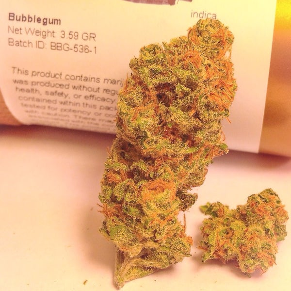Very flavorful marijuana strains at The Herbal Cure.
