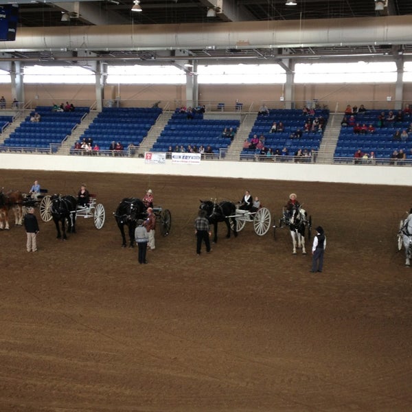 Equine Arena Harrisburg, PA