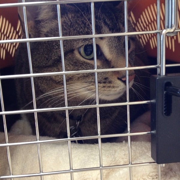 smoketown veterinary hospital