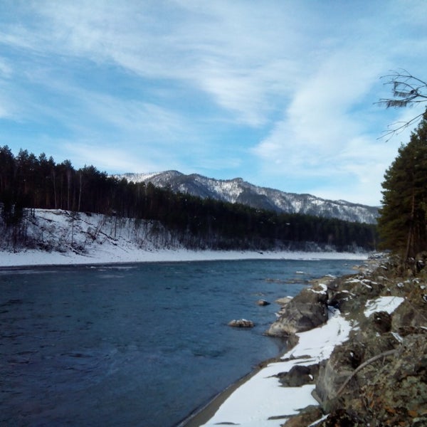 Берег катуни